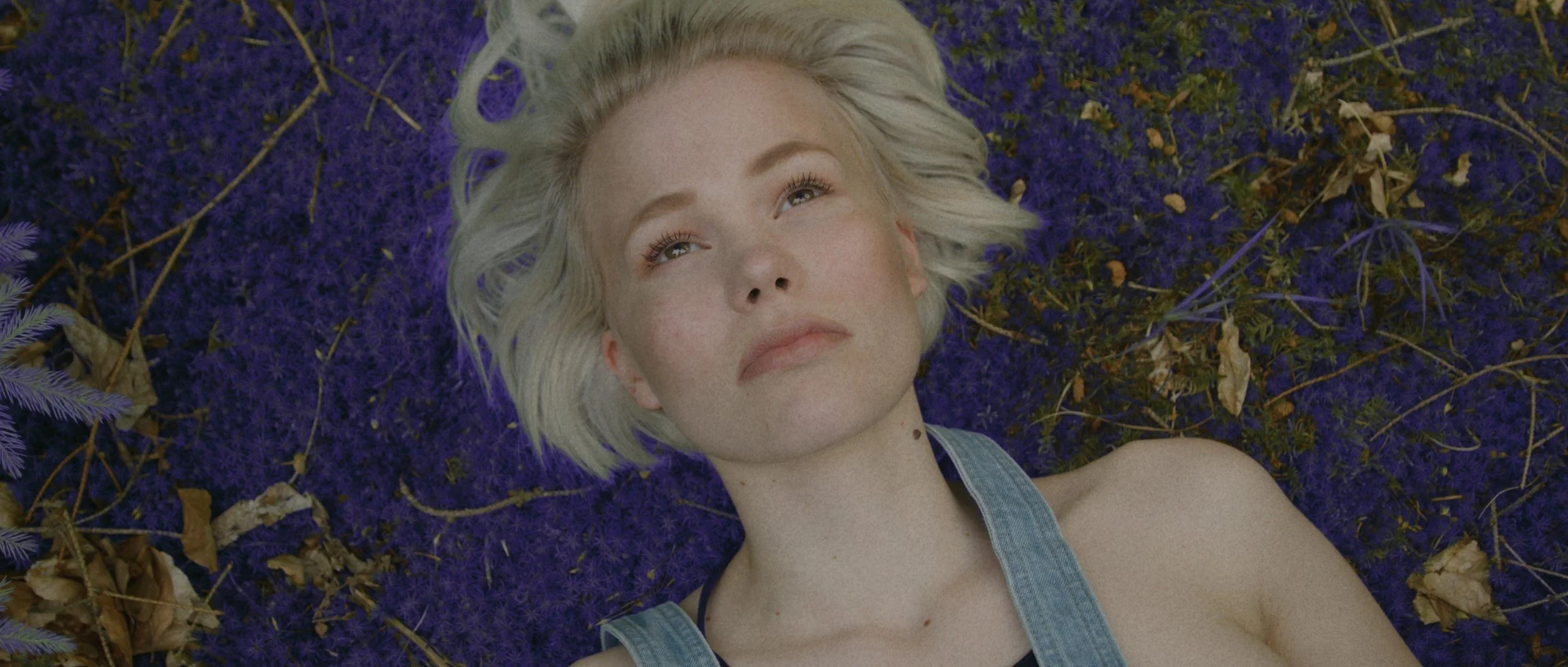A cinematic still from a Karma Film music video — a woman resting among wildflowers, softly lit.