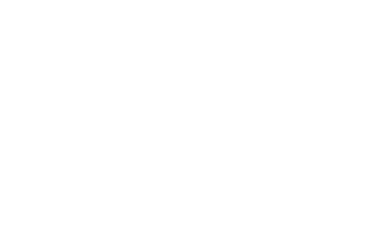 Europæiske ERV