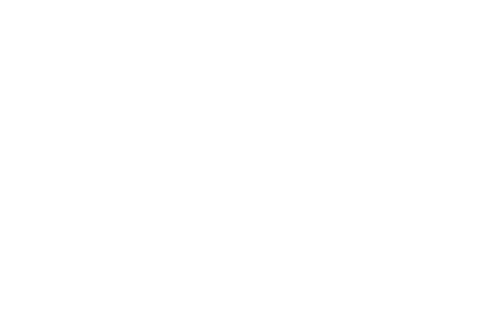 Wavemaker