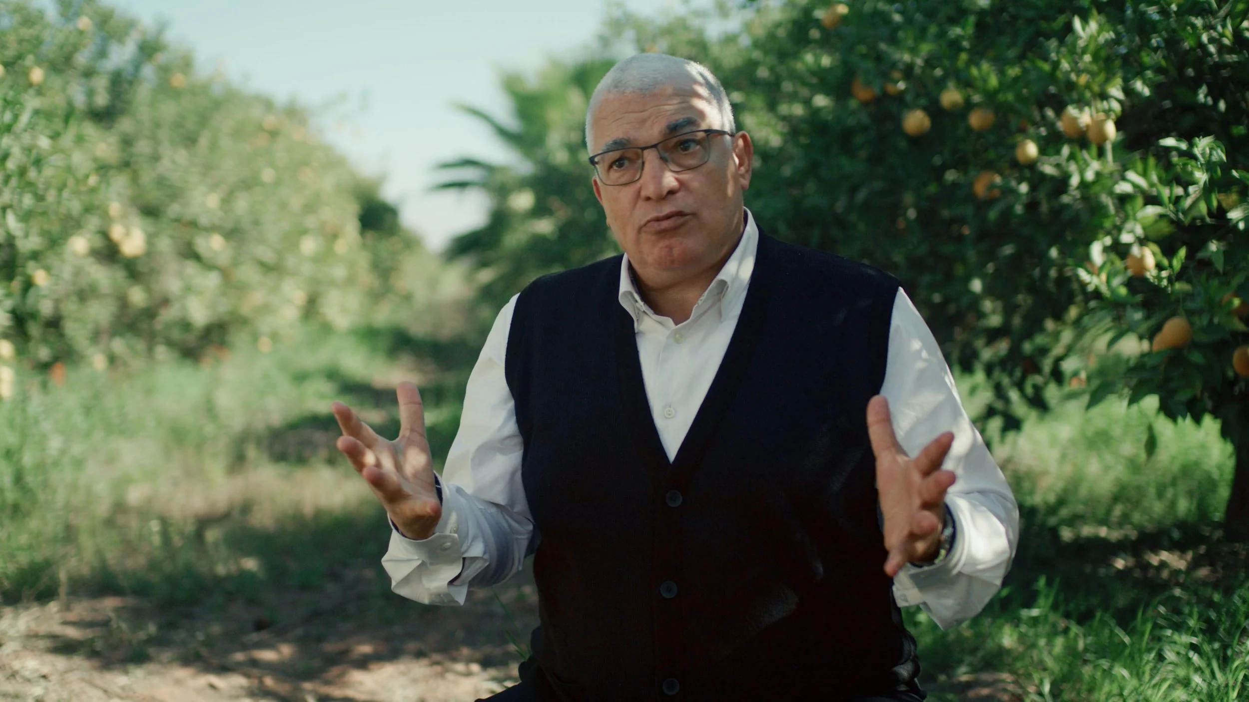 MAERSK - AN OPTIMISED ROUTE FROM HARVEST TO SALE — film still