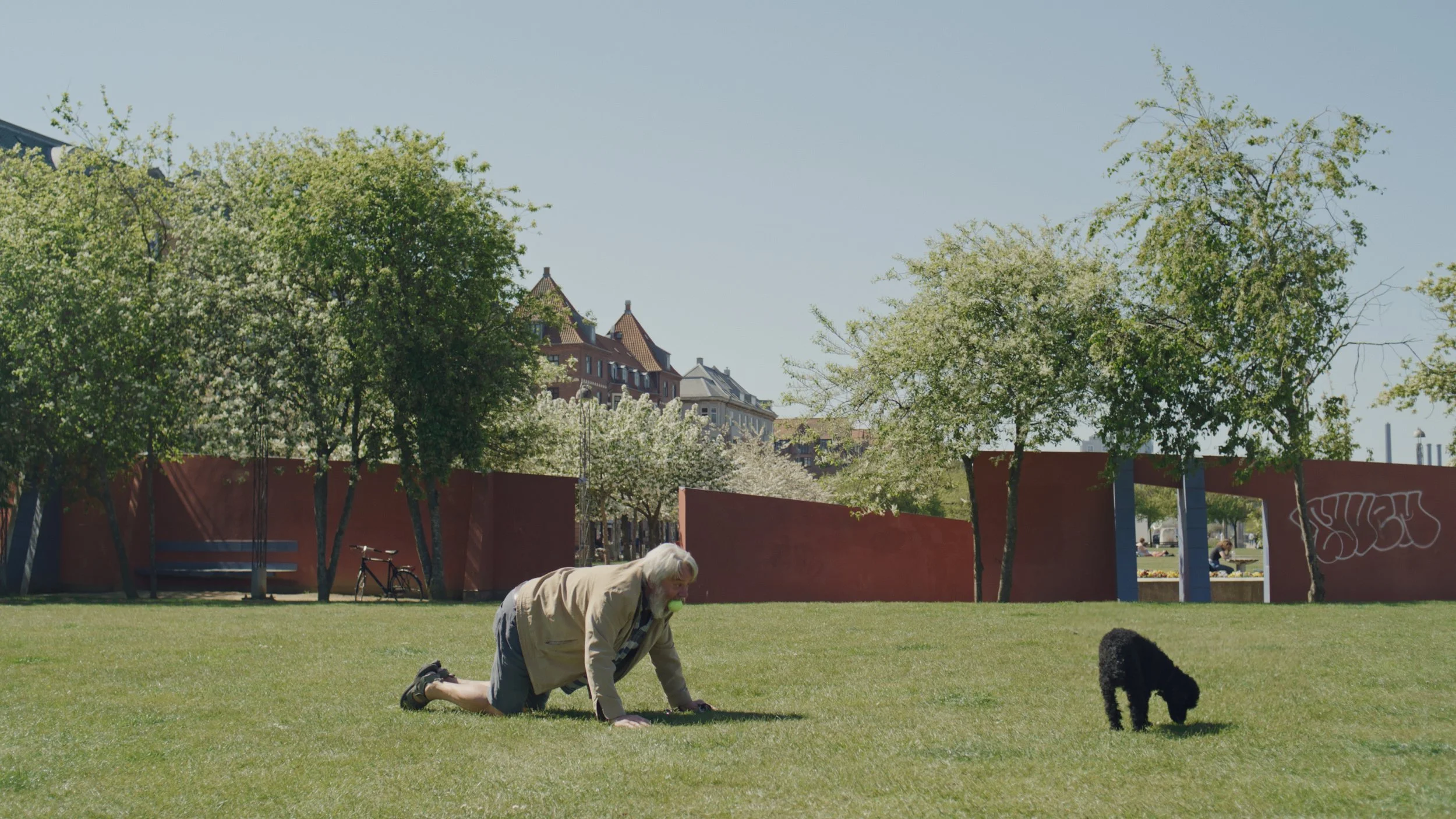 DANISH HEALTH AUTHORITY - DOG WALK — film still